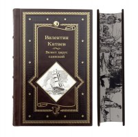 Катаев В. Белеет парус одинокий